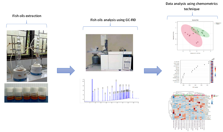 Graphical Abstract